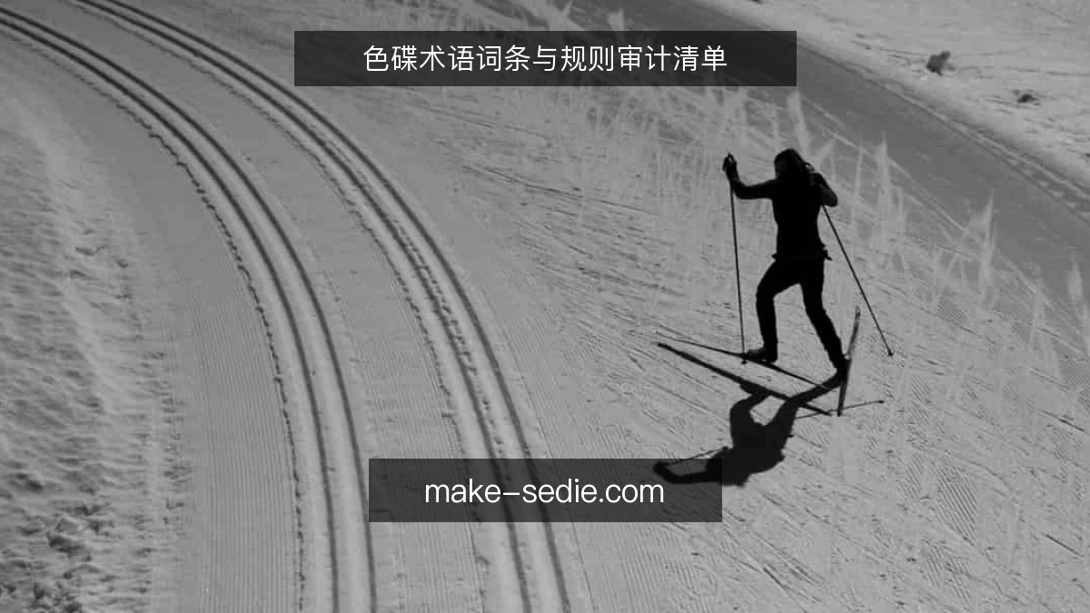 色碟术语词条与规则审计清单